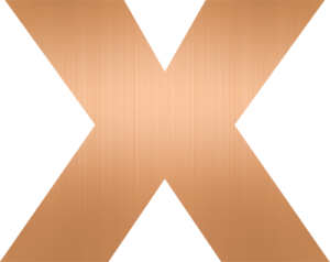 VIDI X